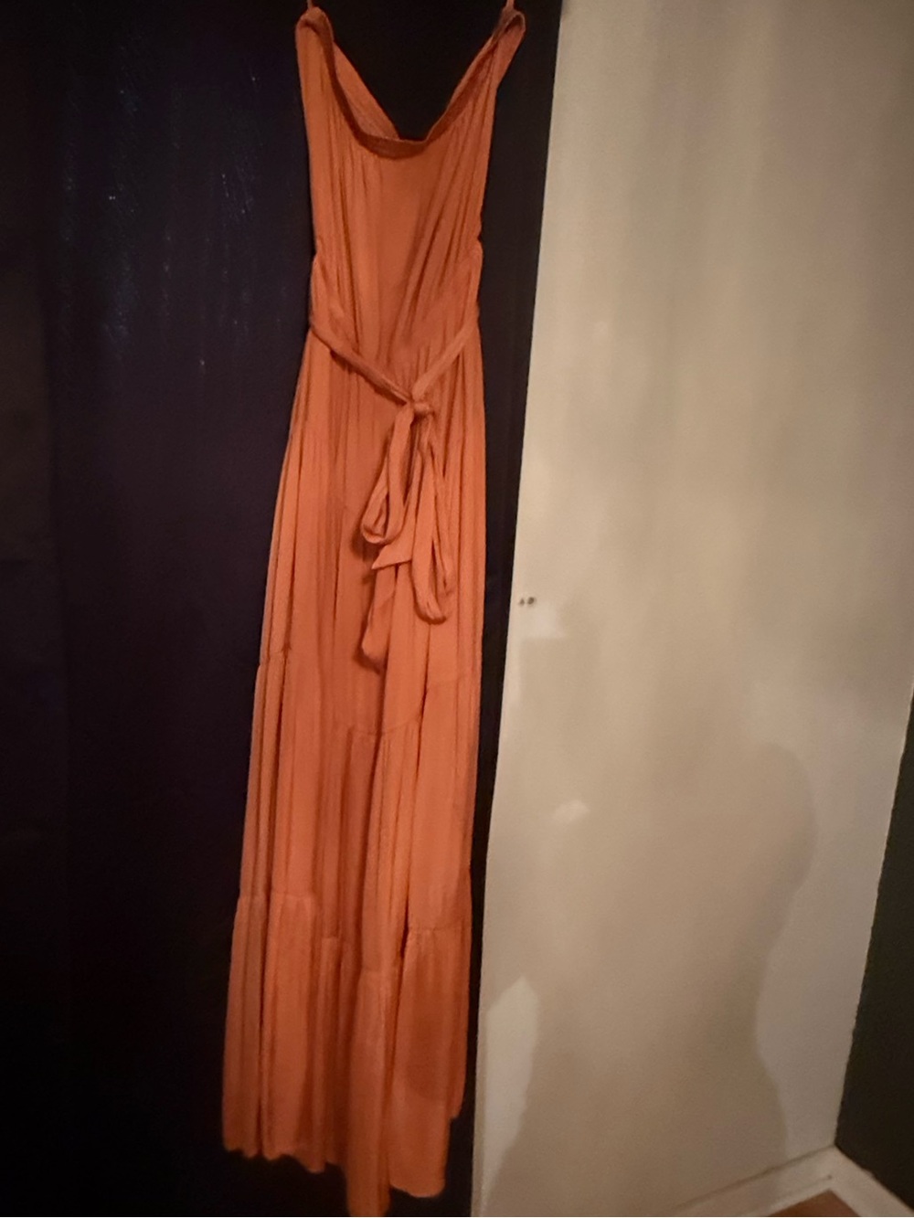 Naked Zebra Rust Orange Sleeveless Maxi Dress with Waist Tie